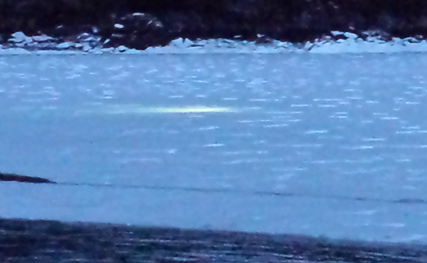 The ROV lights can be seen through the ice as it searches for juvenile herring.