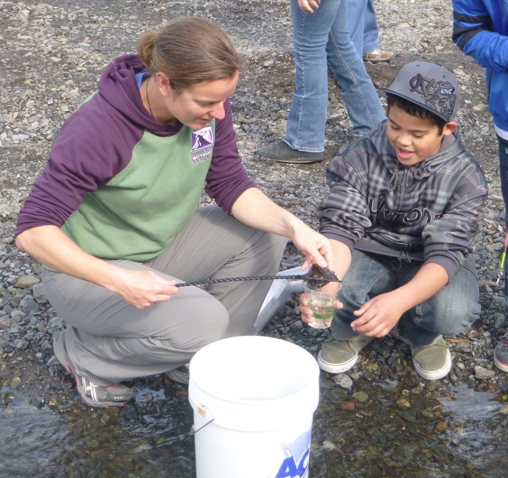 Kate Morse of the Copper  River Watershed Project distributed a cup with 10-15 fry to each student.