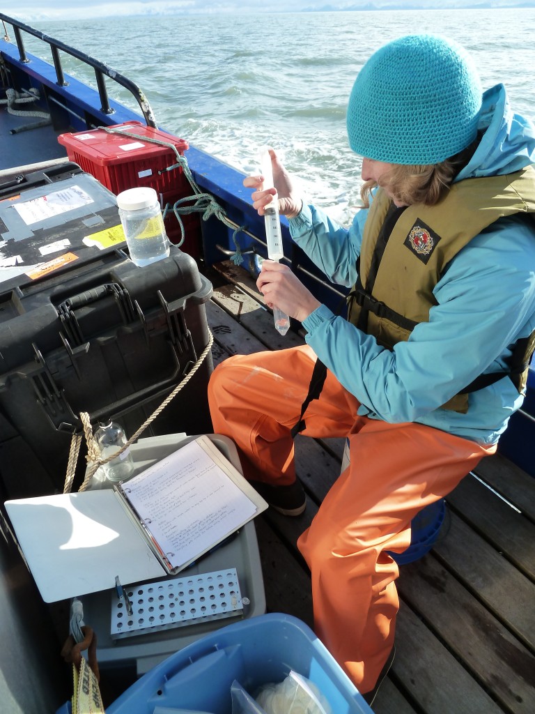 Caitlin collecting a nutrient sample during an oceanography cruise.