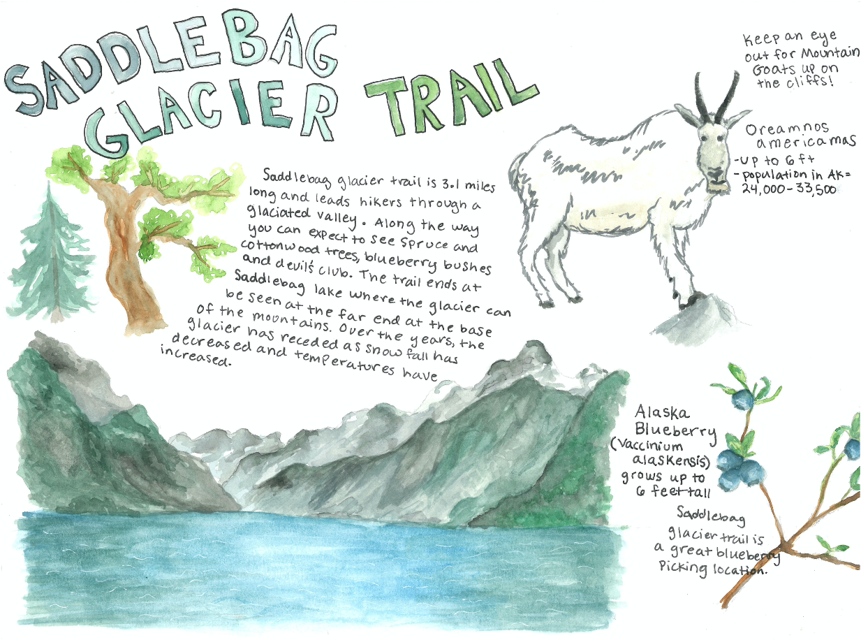 Nature Trail Sketch Journal - Guided Adventure with Prompts –