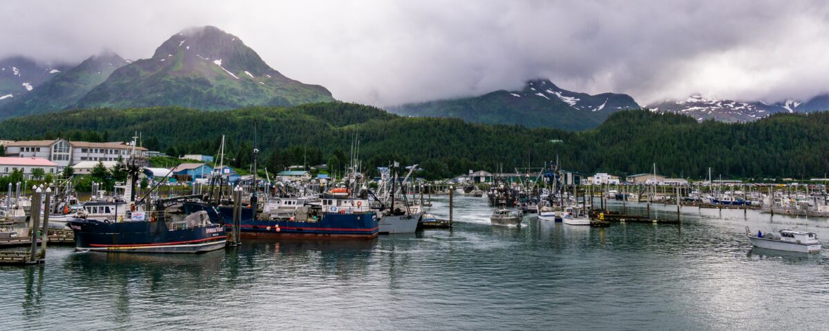 Photo of the Cordova harbor