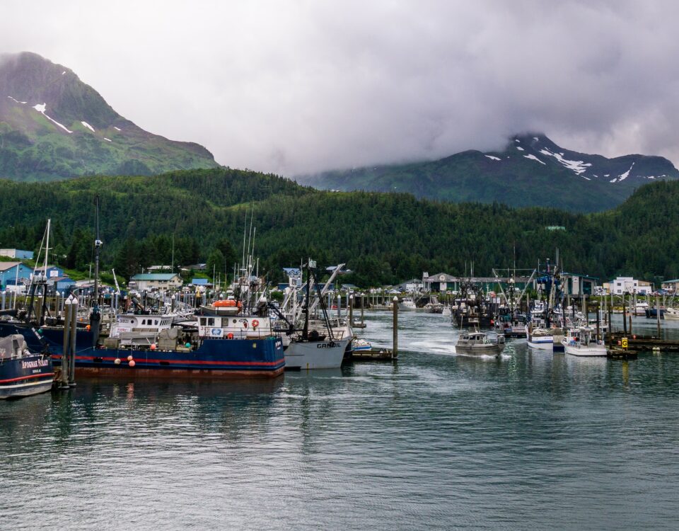 Photo of the Cordova harbor