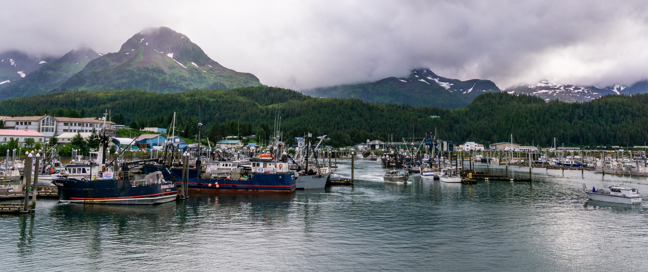 Photo of the Cordova harbor