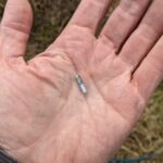 Photo of a micro acoustic fish tag in someone's hand.