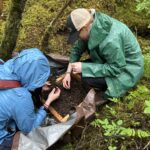 two people digging through dirt that is being filtered through a wire screen. The people are in the woods on a rainy day. They are not looking at the camera, but rather working on the task at hand.
