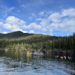 Scenic ocean view with mountains in the background. In the ocean is a boat and a kelp farm. The kelp farm is marked by lots of buoys.