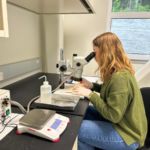 Lydia identifying and counting contents of salmon stomach