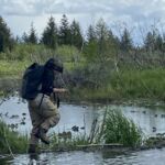 Stewards cross a beaver dam Stewards cross a beaver dam