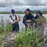 A USFS employee shows two stewards a hatched egg in a nest island. A male USFS employee holds up half an egg while two stewards observe. They are standing in the water behind a nest island.